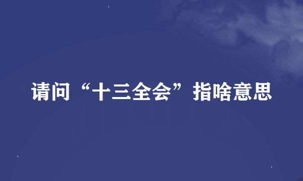 请问“十三全会”指啥意思