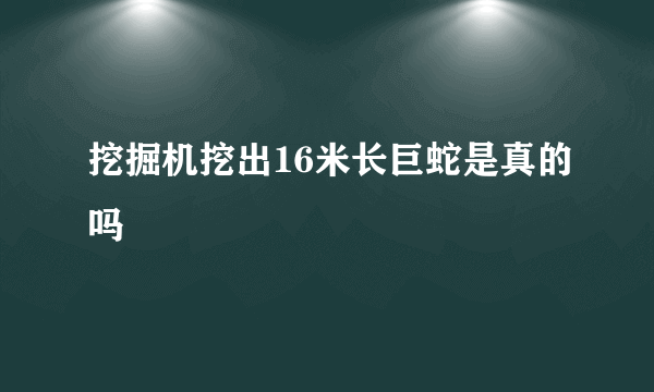 挖掘机挖出16米长巨蛇是真的吗