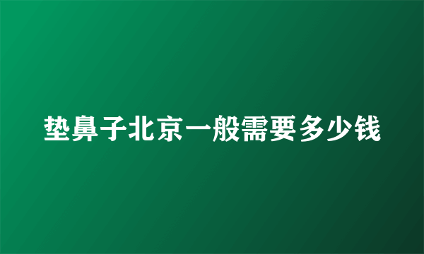 垫鼻子北京一般需要多少钱