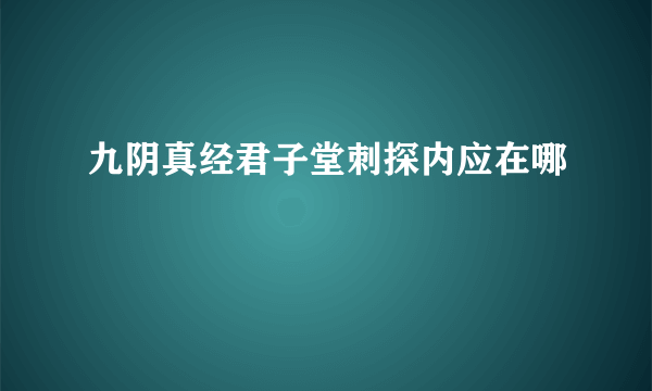 九阴真经君子堂刺探内应在哪