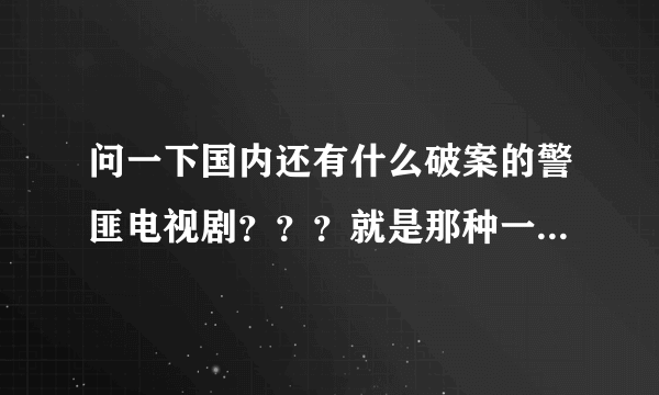 问一下国内还有什么破案的警匪电视剧？？？就是那种一集破一案或几集破一个案的那种推理侦查片？