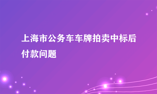 上海市公务车车牌拍卖中标后付款问题