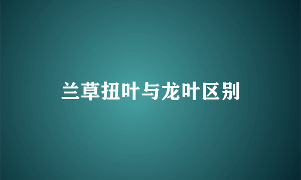 兰草扭叶与龙叶区别