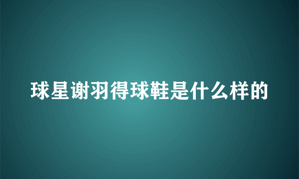 球星谢羽得球鞋是什么样的