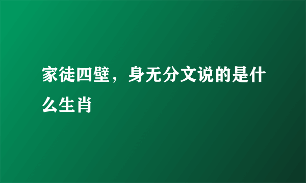 家徒四壁，身无分文说的是什么生肖