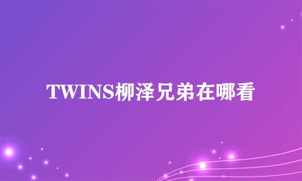 TWINS柳泽兄弟在哪看