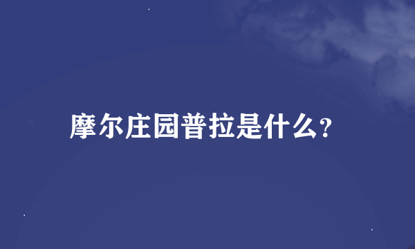 摩尔庄园普拉是什么？