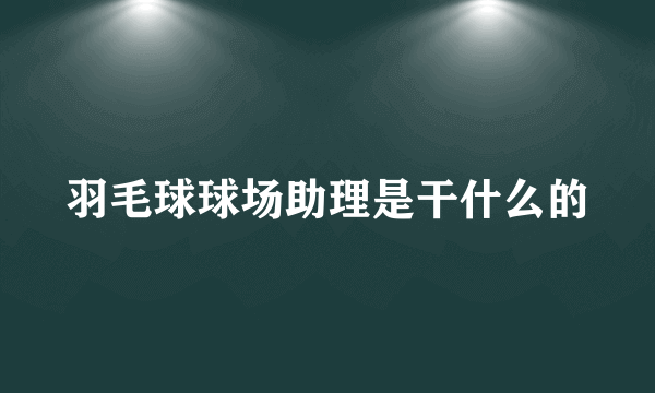 羽毛球球场助理是干什么的