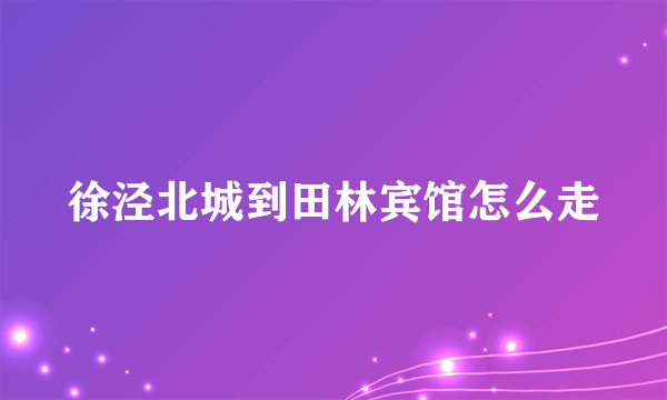 徐泾北城到田林宾馆怎么走