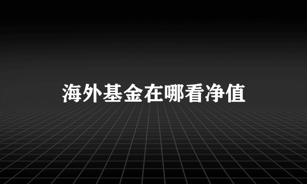 海外基金在哪看净值