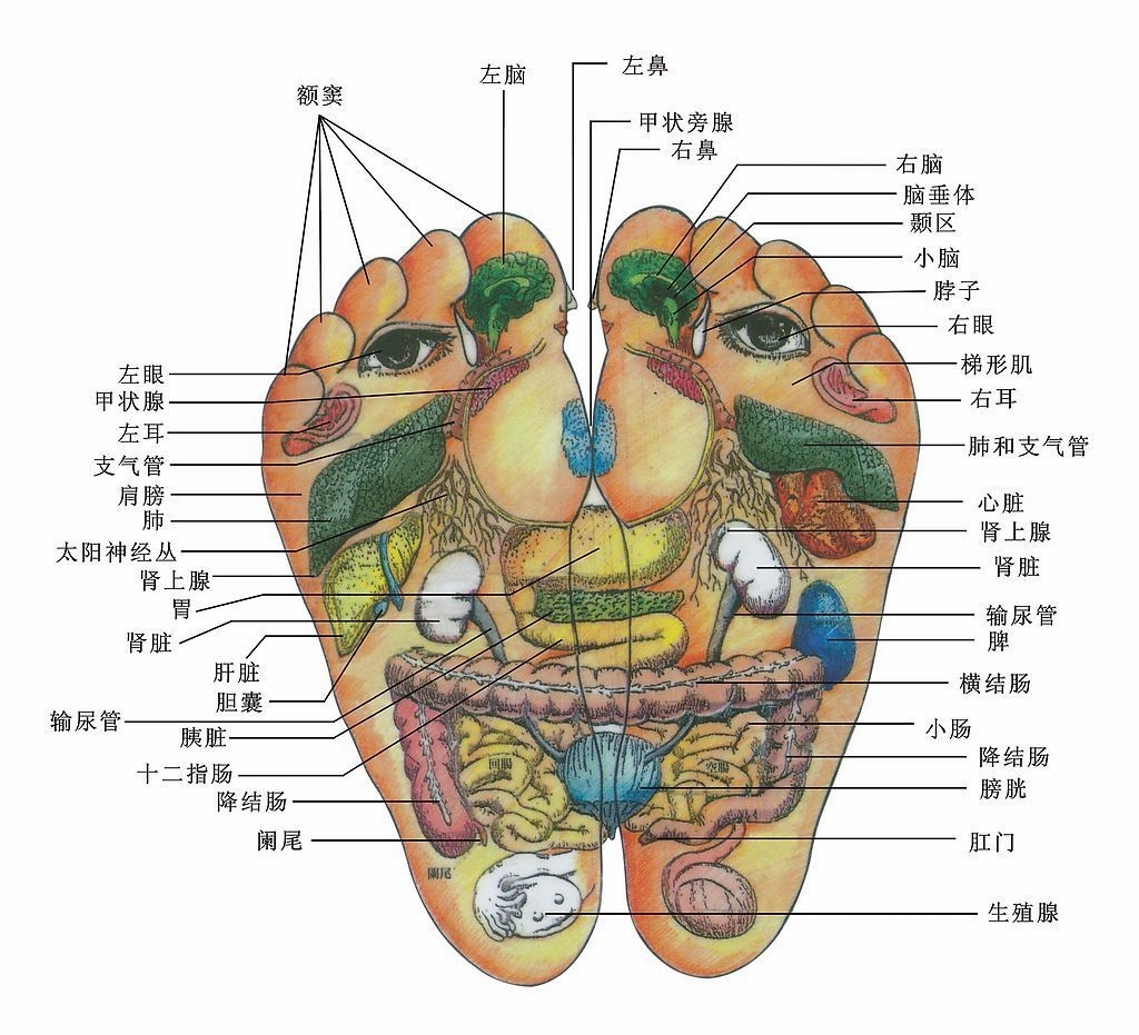 胸部正中央的穴位叫什么？（最好附张人体学位分布图）谢谢！