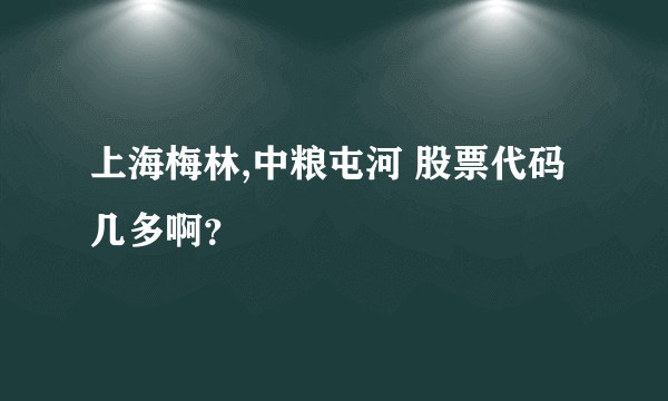 上海梅林,中粮屯河 股票代码几多啊？