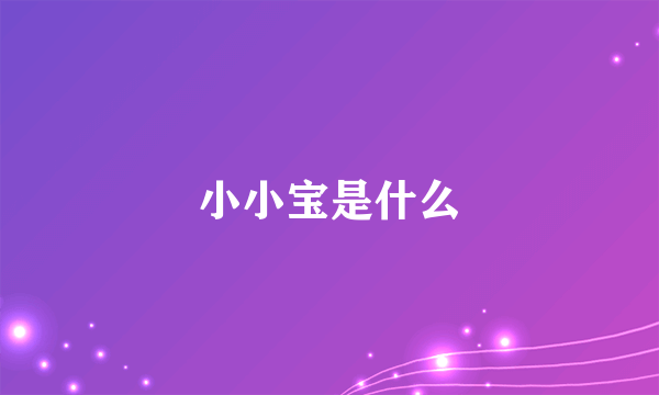 小小宝是什么