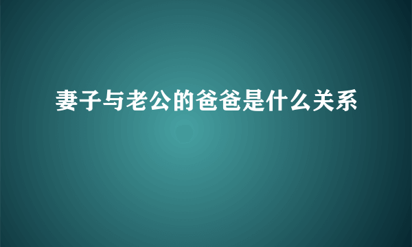 妻子与老公的爸爸是什么关系