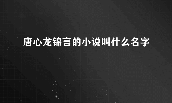 唐心龙锦言的小说叫什么名字