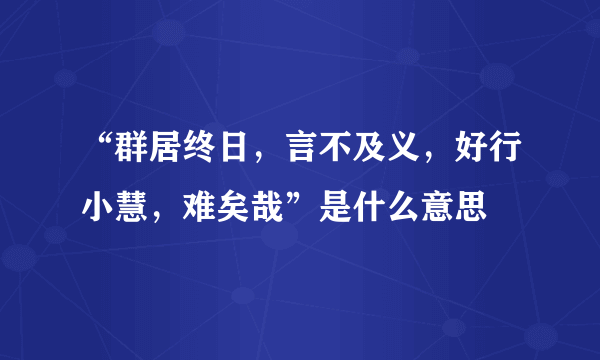 “群居终日，言不及义，好行小慧，难矣哉”是什么意思