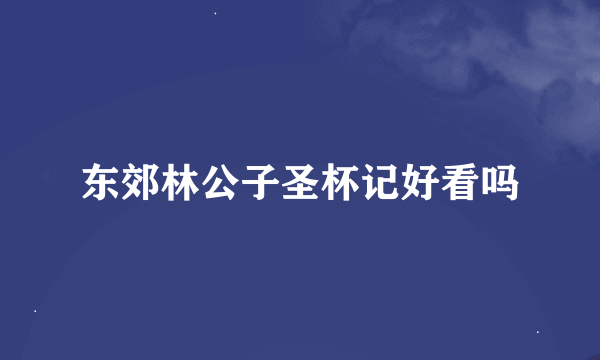 东郊林公子圣杯记好看吗