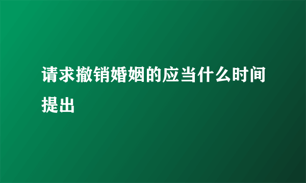 请求撤销婚姻的应当什么时间提出