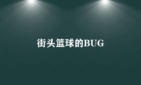 街头篮球的BUG