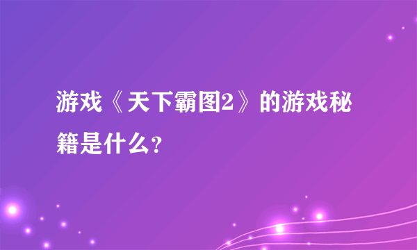 游戏《天下霸图2》的游戏秘籍是什么？