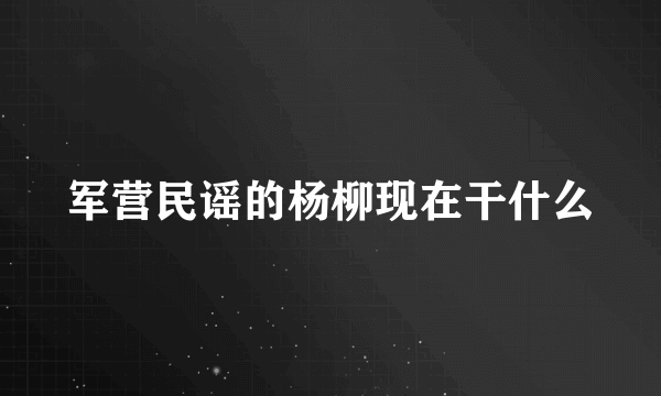 军营民谣的杨柳现在干什么