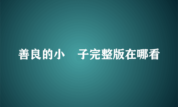 善良的小峓子完整版在哪看