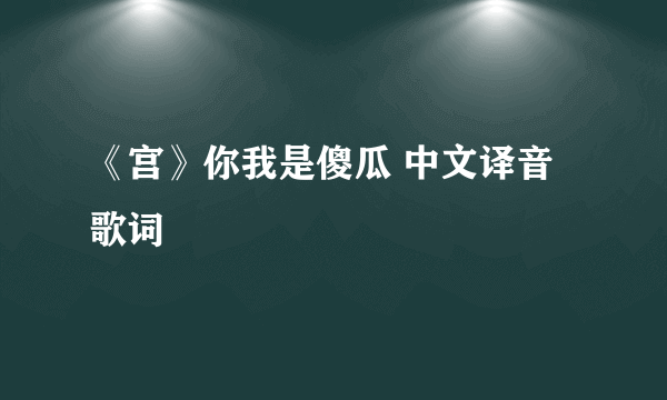 《宫》你我是傻瓜 中文译音歌词