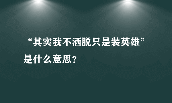 “其实我不洒脱只是装英雄”是什么意思？