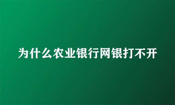 为什么农业银行网银打不开