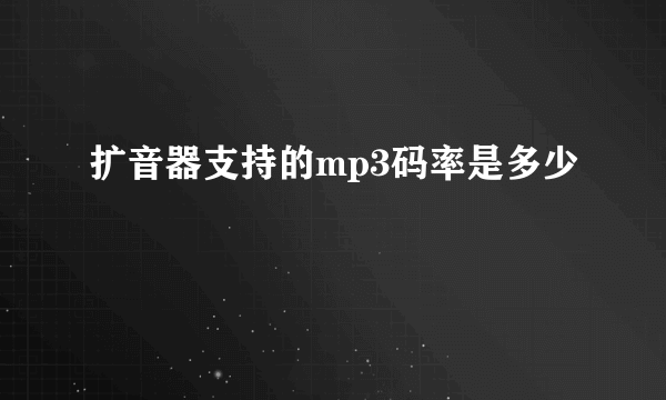 扩音器支持的mp3码率是多少