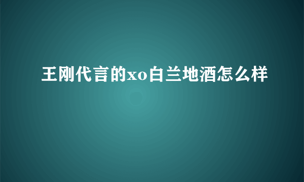 王刚代言的xo白兰地酒怎么样