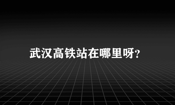 武汉高铁站在哪里呀？