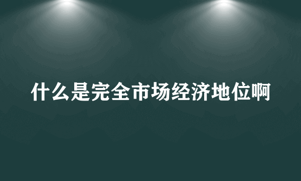 什么是完全市场经济地位啊