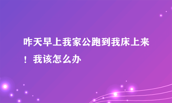 咋天早上我家公跑到我床上来！我该怎么办