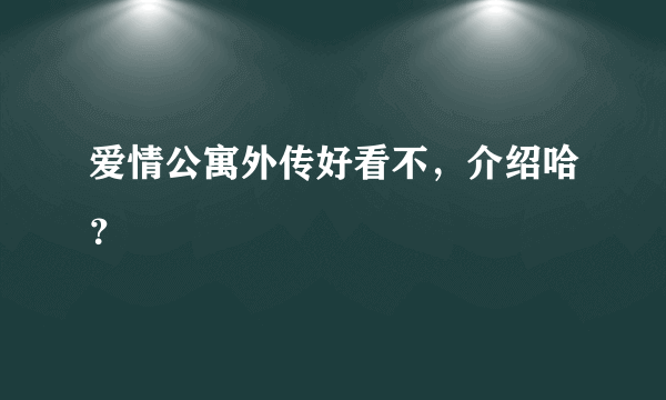 爱情公寓外传好看不，介绍哈？