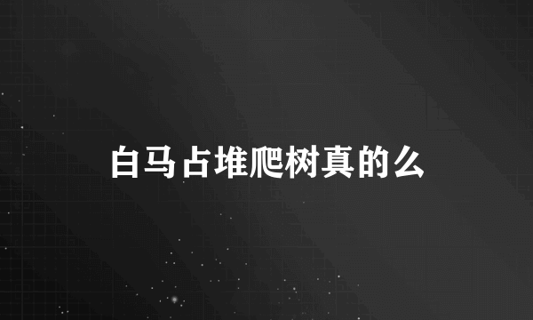 白马占堆爬树真的么