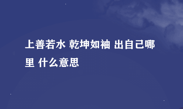 上善若水 乾坤如袖 出自己哪里 什么意思