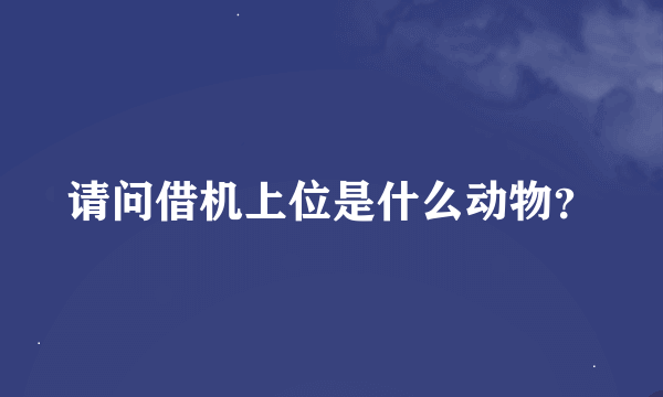 请问借机上位是什么动物？