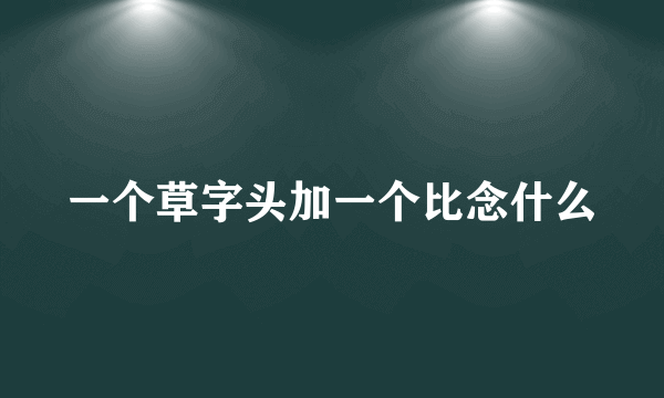 一个草字头加一个比念什么