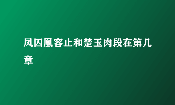 凤囚凰容止和楚玉肉段在第几章