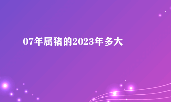 07年属猪的2023年多大