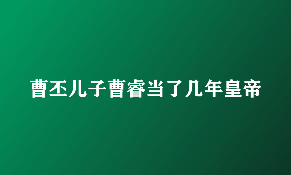 曹丕儿子曹睿当了几年皇帝