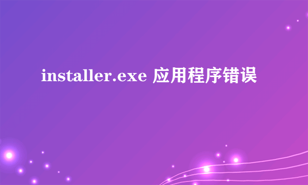 installer.exe 应用程序错误