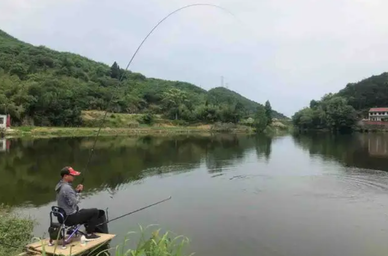 杭州钓鱼的地方 野钓