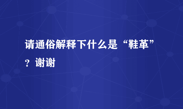 请通俗解释下什么是“鞋革”？谢谢