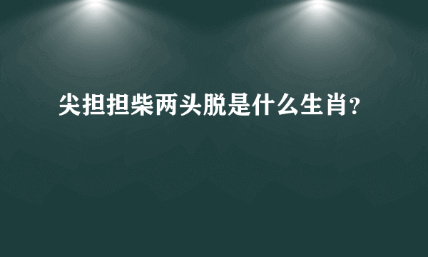 尖担担柴两头脱是什么生肖？