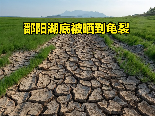 干旱致洞庭湖鄱阳湖面积缩四分之三，这将对当地生态环境造成哪些影响？