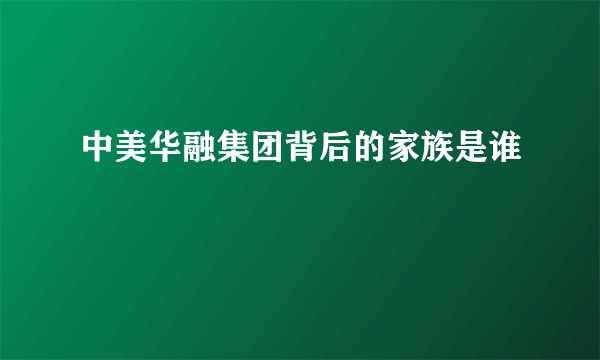 中美华融集团背后的家族是谁