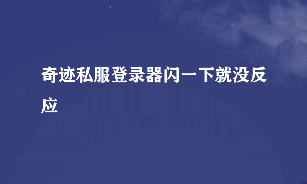 奇迹私服登录器闪一下就没反应