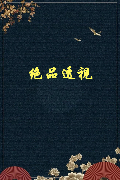 《绝品透视》txt下载在线阅读全文，求百度网盘云资源